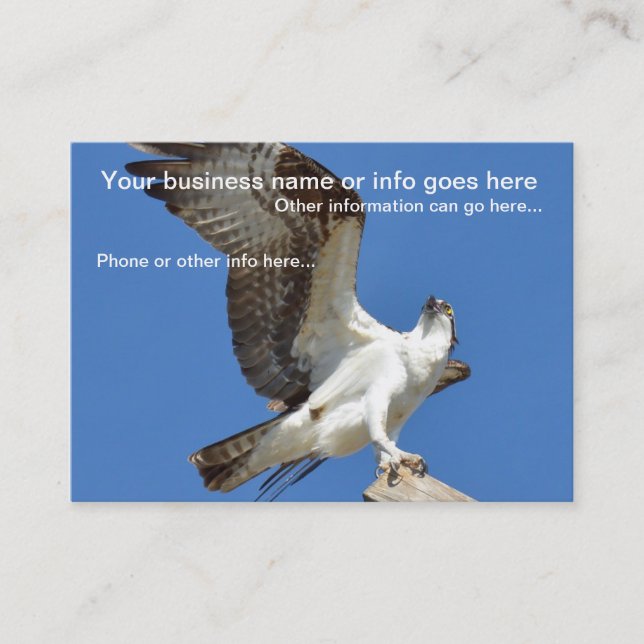 Cartes de visite Majestic Osprey (Devant)
