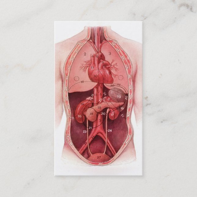 cartes de visite médicaux de pièces de corps (Devant)
