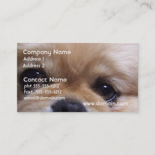 Cartes de visite mignons de chiot de Pekingese