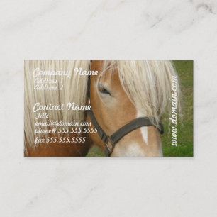 Cartes de visite mignons de poney de palomino