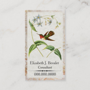Cartes de visite personnels de colibri Scintillant