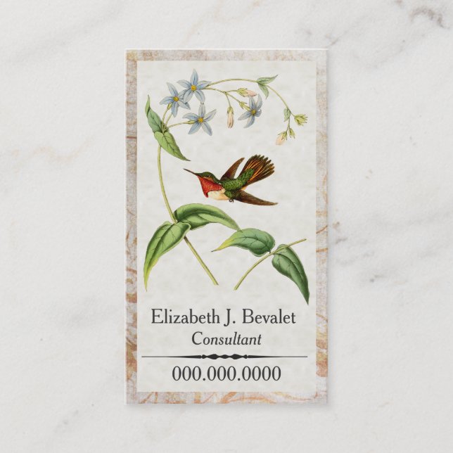 Cartes de visite personnels de colibri Scintillant (Devant)