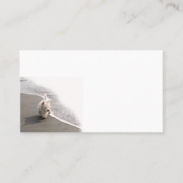 Cartes de visite photo Westie Beachcombing (Devant)