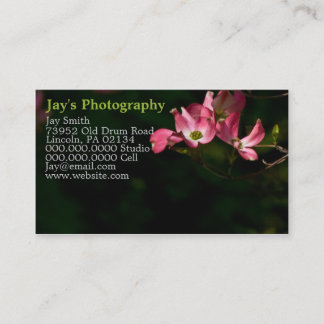 Cartes de visite photographiques modèle