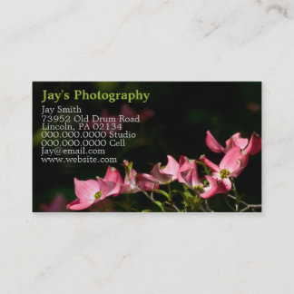 Cartes de visite photographiques modèle