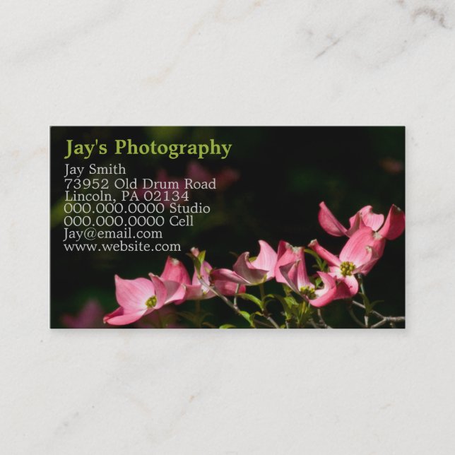 Cartes de visite photographiques modèle (Devant)