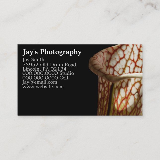 Cartes de visite photographiques uniques (Devant)