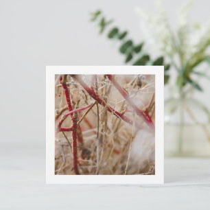 Cartes de visite pour jardinage Roses sauvages