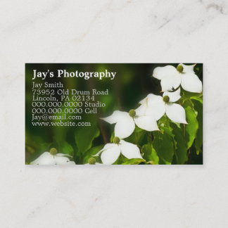 cartes de visite pour photographes