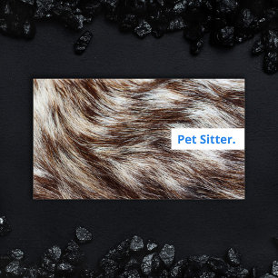 Cartes de visite pour promeneur de chiens Professi
