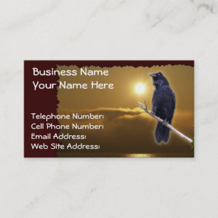 CARTES DE VISITE RAVEN & GOLDEN SUNLIGHT