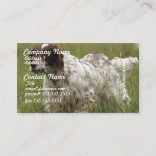 Cartes de visite repérés de chien de poseur