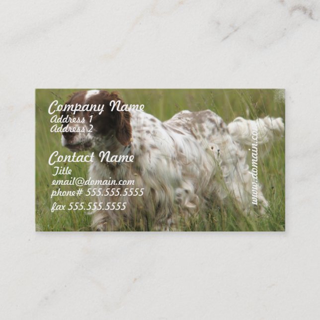 Cartes de visite repérés de chien de poseur (Devant)