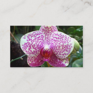 Cartes de visite roses d'orchidée