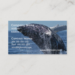 Cartes de visite sautants de baleine de bosse
