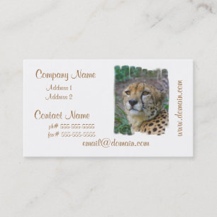 Cartes de visite sauvages de guépard