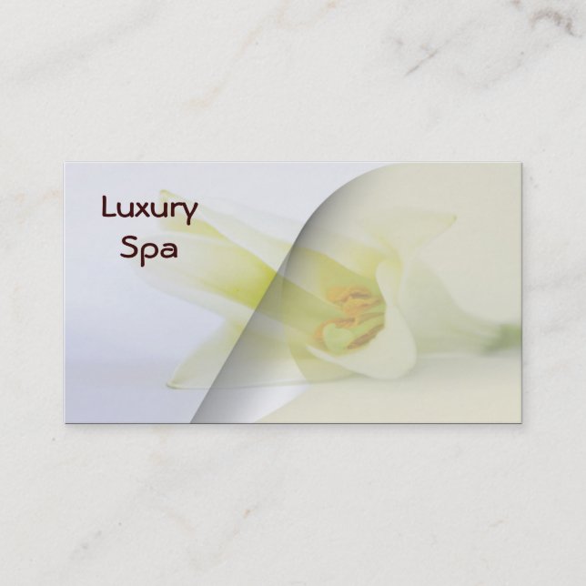 Cartes de visite spas (Devant)