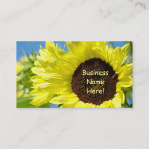 Cartes de visite Tournesols Cartes Jaune Bleu