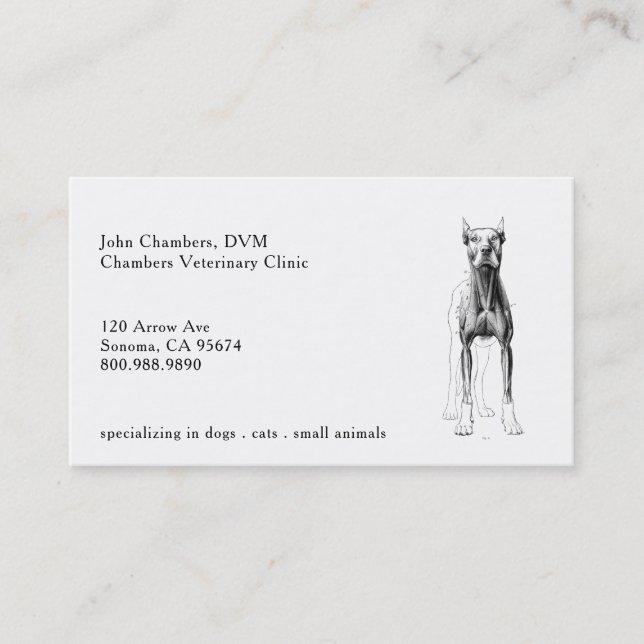 Cartes de visite vétérinaires (Devant)