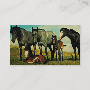 Cartes de visite vintages de chevaux