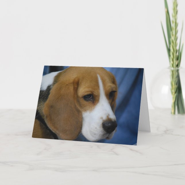 Cartes de voeux Beagles (Devant)