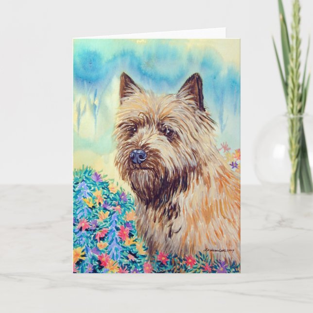 Cartes de voeux Cairn Terrier (Devant)