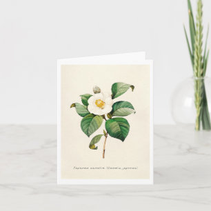 Cartes de voeux - Camellia japonaise