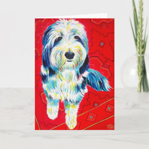 Cartes de voeux Collie, enveloppes incluses
