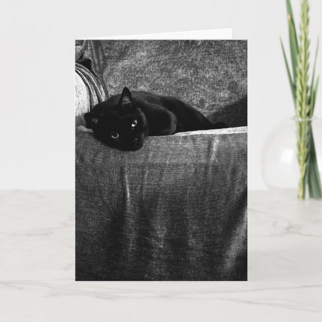 Cartes de voeux confortables de chat noir (Devant)