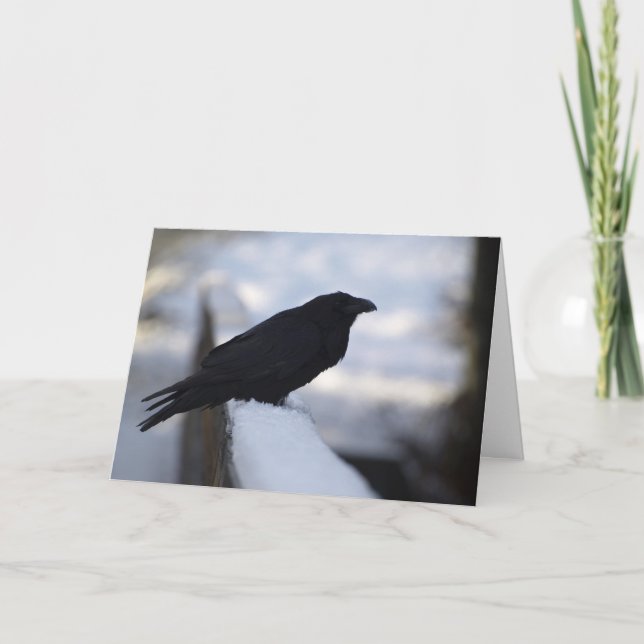 Cartes de voeux Corbeau (Devant)