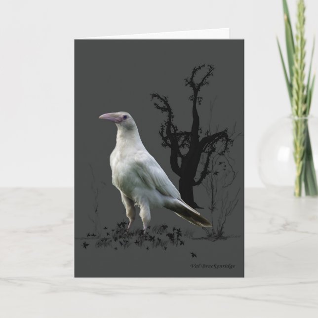 Cartes de voeux Corbeau blanc (Devant)