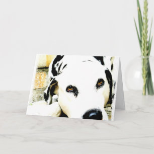Cartes de voeux dalmatiennes de sommeil