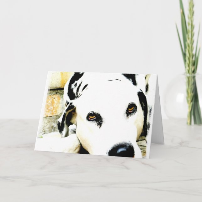 Cartes de voeux dalmatiennes de sommeil (Devant)