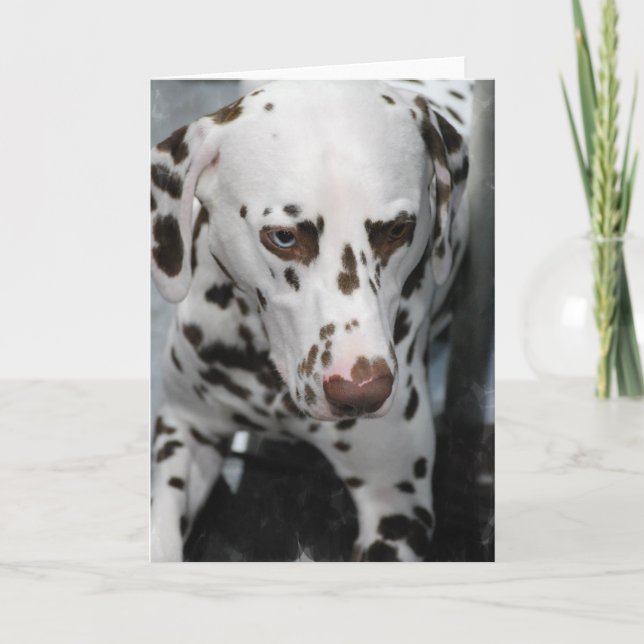 Cartes de voeux dalmatiennes mignonnes (Devant)