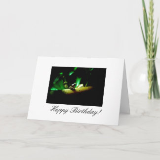 Cartes de voeux d'anniversaire