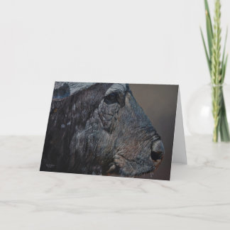 Cartes de voeux d'art de faune de Combes de type