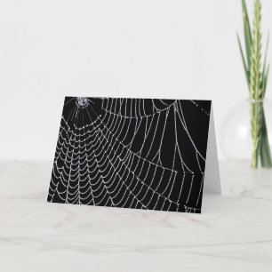 Cartes de voeux de la toile de l'araignée