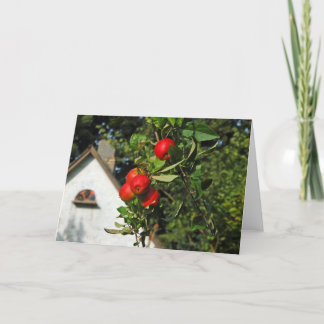 Cartes de voeux de pommes de pigeon
