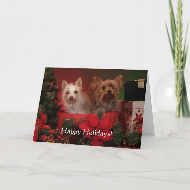 Cartes de voeux de vacances Yorkie (Devant)