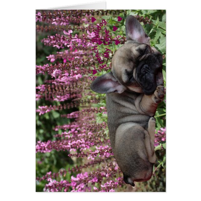 Cartes de voeux en France (Devant)