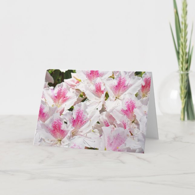 Cartes de voeux florales vierges dans le texte de  (Devant)