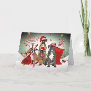 Cartes de voeux Joyeux Noël Boxer