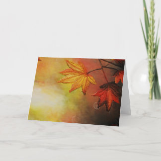 Cartes de voeux Maple Morn de l'artiste Alison Gal