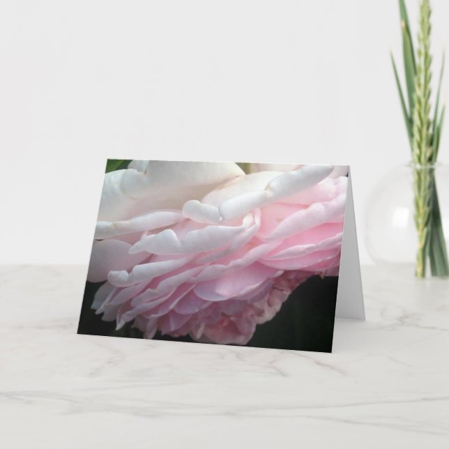 Cartes de voeux ou cartes à notes en rose rose (Devant)