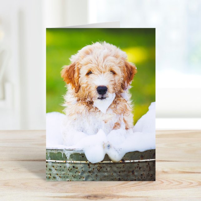 Cartes de vœux personnalisées avec photo d'animaux (Créateur téléchargé)