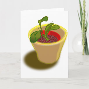 Cartes de voeux Plante Pot