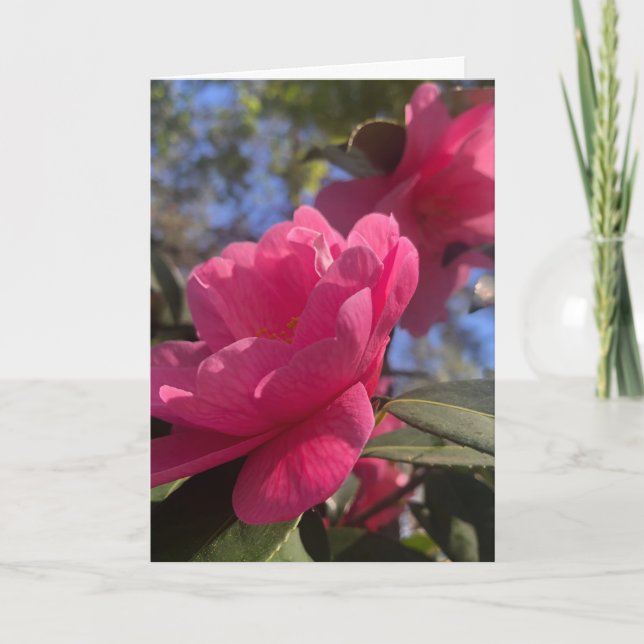 Cartes de vœux pliées 1 - Pétales roses (Devant)