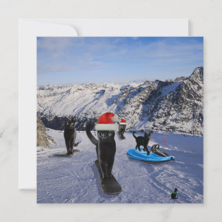 Cartes de vœux pliées Chats noirs sur snowboards