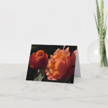 Cartes de vœux pliées de photographie d'art fin Ja