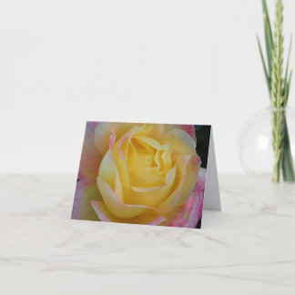 Cartes de vœux pliées de photographie d'art fin Ro
